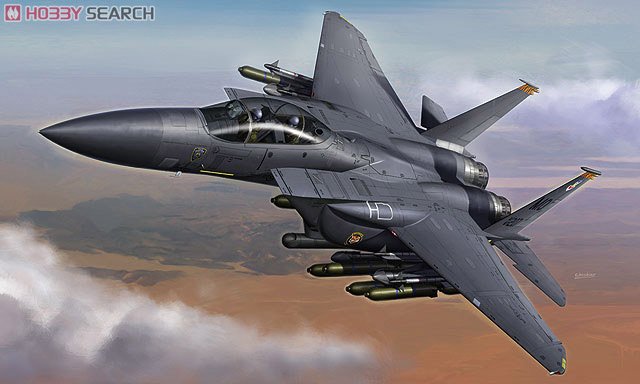 ȴ ս 00569 E39 F-15E ӥ