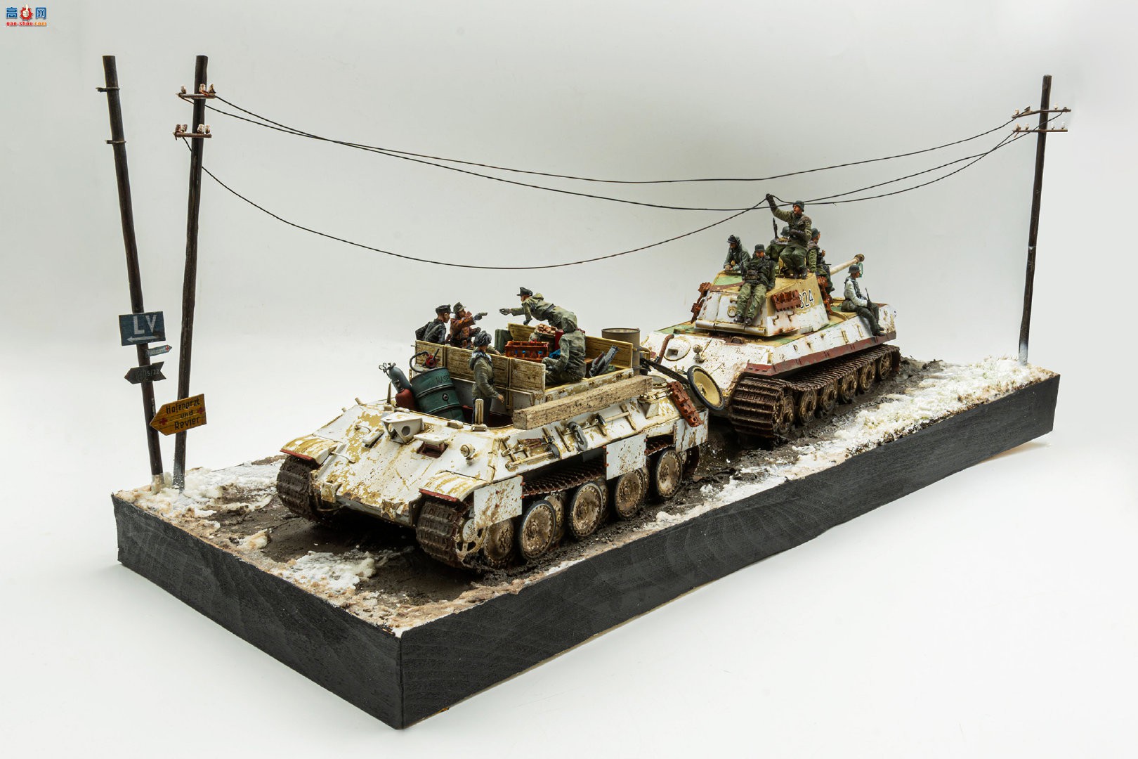 MENGĳ龰ھ King Tiger &amp; BergePanther