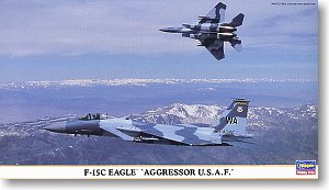 ȴ ս 00860 F-15C ӥ ` USAF`