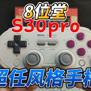 8Bitdo/λSN30 ProֱƵ