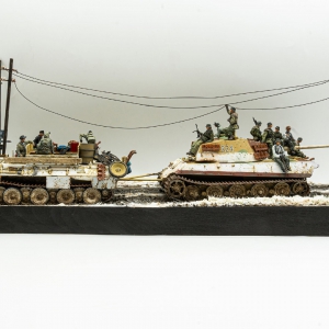 MENGĳ龰ھ King Tiger & BergePanther